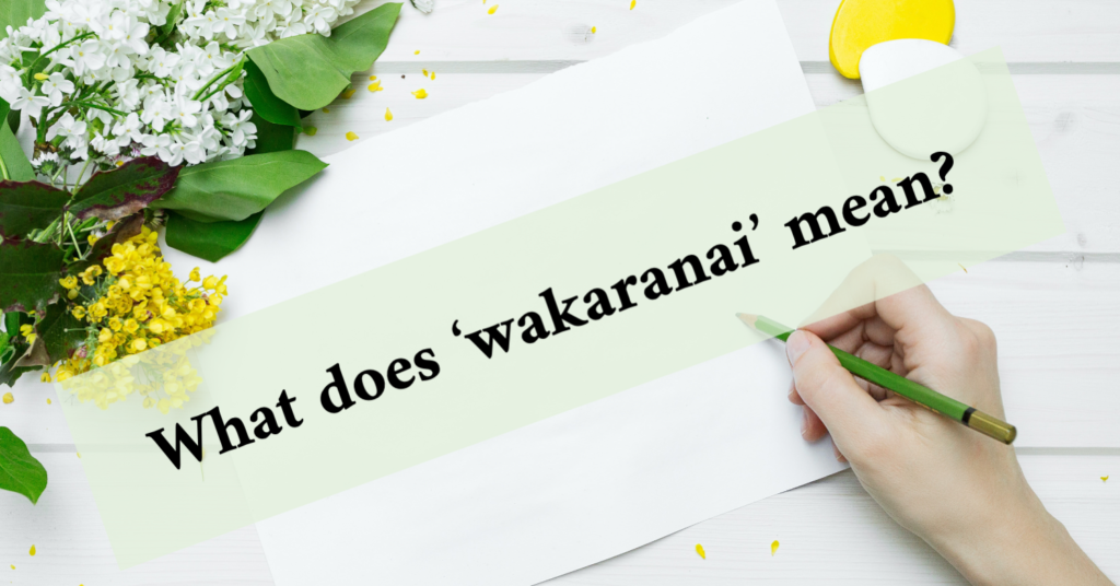 5 Valuable Things To Know About Wakaranai 分からない Edopen Japan