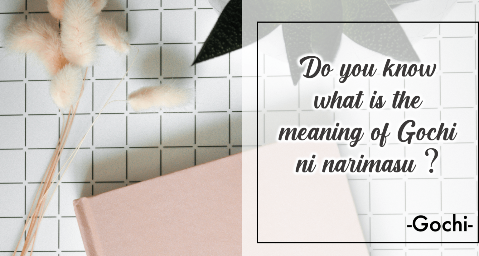 What’s the beautiful meaning of Gochisousama? EDOPEN Japan