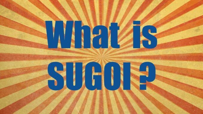 What is sugoi