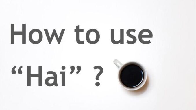 How to use hai