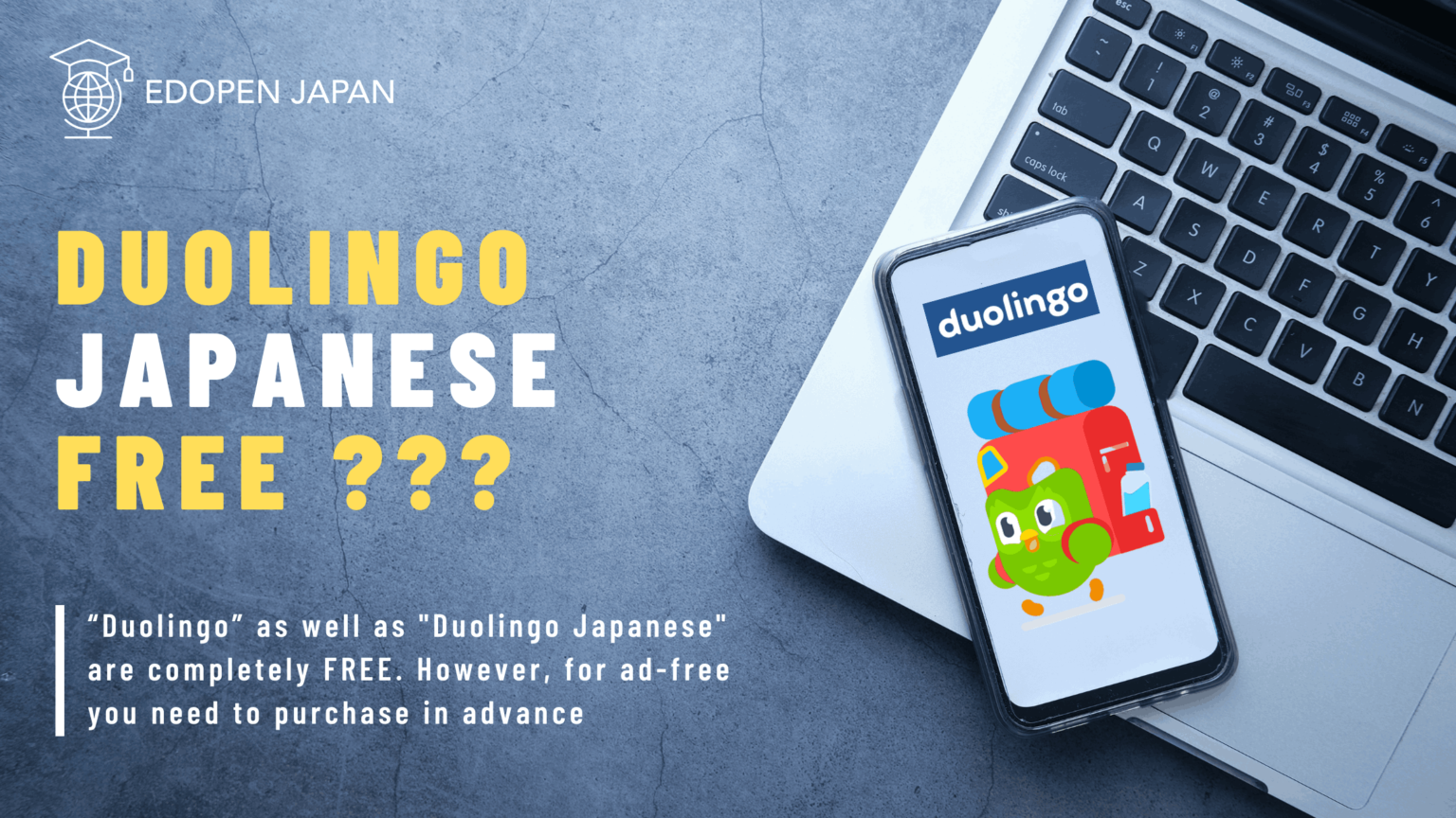 Duolingo Japanese Review EDOPEN Japan